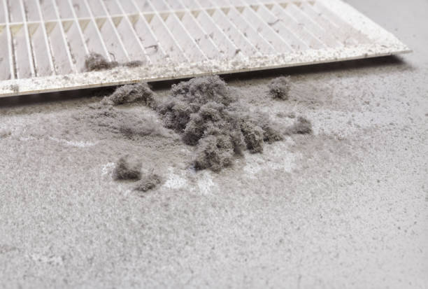 Best HVAC Duct Inspection Services  in Diaz, AR