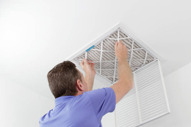 Best Local Air Duct Cleaning Services  in Diaz, AR
